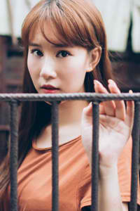 炽道一共多少集